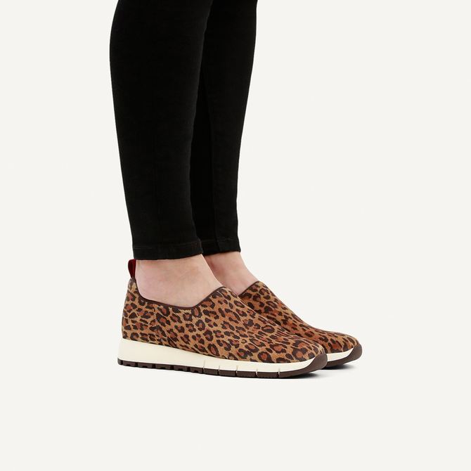  74703 - Braun / Leo-Look - Sonderbild